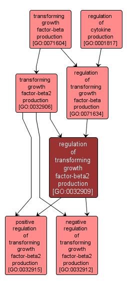 GO:0032909 - regulation of transforming growth factor-beta2 production (interactive image map)