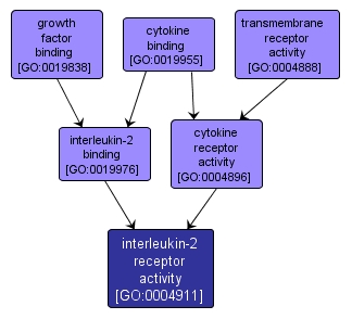 GO:0004911 - interleukin-2 receptor activity (interactive image map)