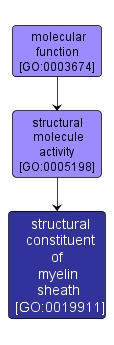 GO:0019911 - structural constituent of myelin sheath (interactive image map)