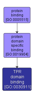 GO:0030911 - TPR domain binding (interactive image map)