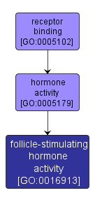 GO:0016913 - follicle-stimulating hormone activity (interactive image map)