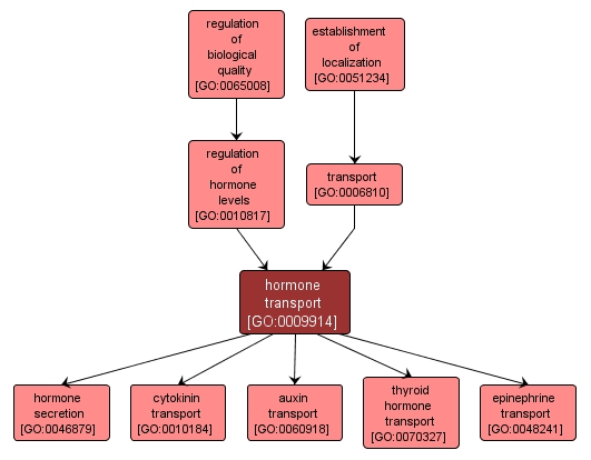GO:0009914 - hormone transport (interactive image map)