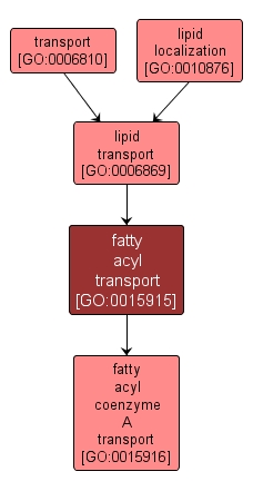 GO:0015915 - fatty acyl transport (interactive image map)