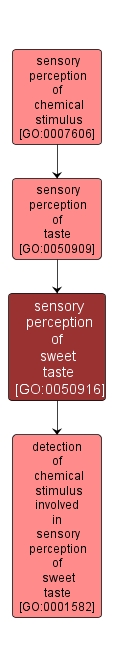 GO:0050916 - sensory perception of sweet taste (interactive image map)