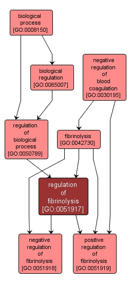 GO:0051917 - regulation of fibrinolysis (interactive image map)