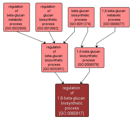 GO:0060917 - regulation of 1,6-beta-glucan biosynthetic process (interactive image map)