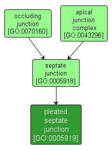 GO:0005919 - pleated septate junction (interactive image map)