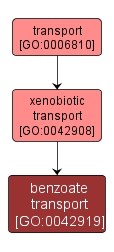 GO:0042919 - benzoate transport (interactive image map)