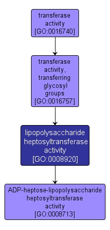 GO:0008920 - lipopolysaccharide heptosyltransferase activity (interactive image map)