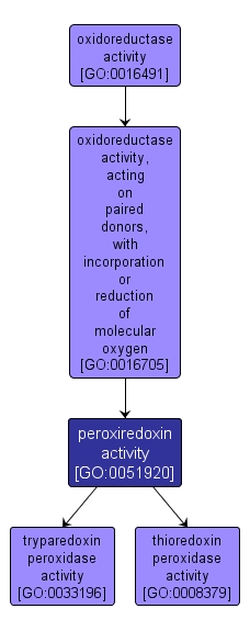 GO:0051920 - peroxiredoxin activity (interactive image map)