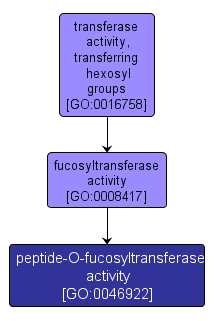 GO:0046922 - peptide-O-fucosyltransferase activity (interactive image map)