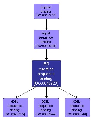 GO:0046923 - ER retention sequence binding (interactive image map)