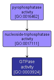 GO:0003924 - GTPase activity (interactive image map)
