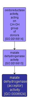 GO:0008924 - malate dehydrogenase (acceptor) activity (interactive image map)