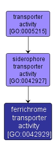 GO:0042929 - ferrichrome transporter activity (interactive image map)