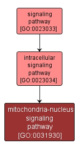 GO:0031930 - mitochondria-nucleus signaling pathway (interactive image map)