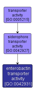GO:0042931 - enterobactin transporter activity (interactive image map)