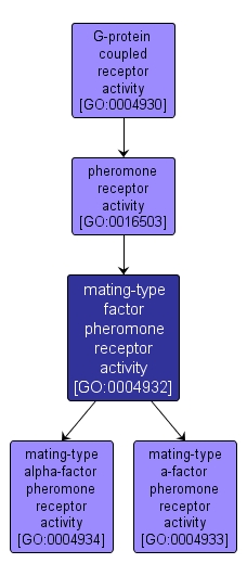 GO:0004932 - mating-type factor pheromone receptor activity (interactive image map)