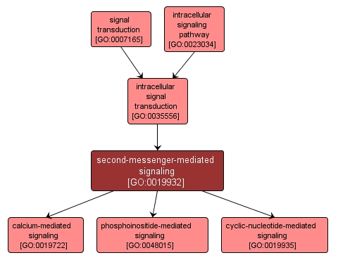 GO:0019932 - second-messenger-mediated signaling (interactive image map)