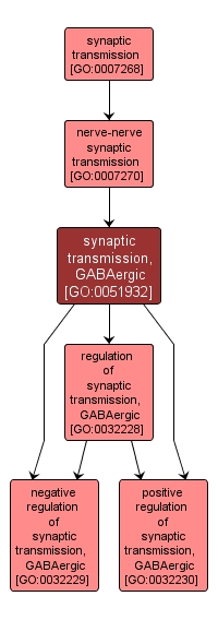 GO:0051932 - synaptic transmission, GABAergic (interactive image map)