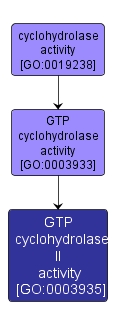 GO:0003935 - GTP cyclohydrolase II activity (interactive image map)