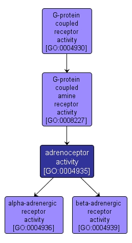 GO:0004935 - adrenoceptor activity (interactive image map)