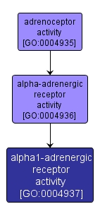 GO:0004937 - alpha1-adrenergic receptor activity (interactive image map)