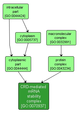 GO:0070937 - CRD-mediated mRNA stability complex (interactive image map)