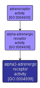 GO:0004938 - alpha2-adrenergic receptor activity (interactive image map)
