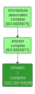 GO:0016938 - kinesin I complex (interactive image map)