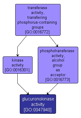GO:0047940 - glucuronokinase activity (interactive image map)