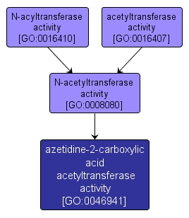 GO:0046941 - azetidine-2-carboxylic acid acetyltransferase activity (interactive image map)