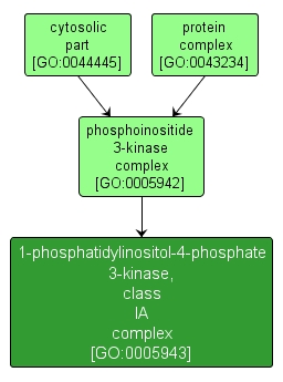 GO:0005943 - 1-phosphatidylinositol-4-phosphate 3-kinase, class IA complex (interactive image map)