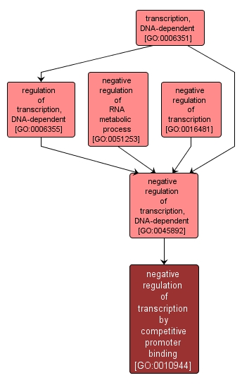 GO:0010944 - negative regulation of transcription by competitive promoter binding (interactive image map)