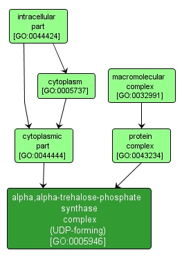GO:0005946 - alpha,alpha-trehalose-phosphate synthase complex (UDP-forming) (interactive image map)