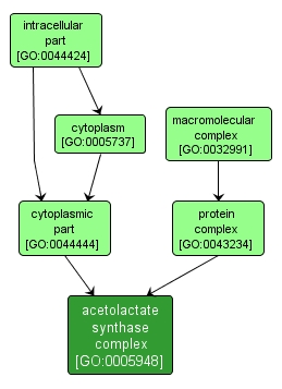 GO:0005948 - acetolactate synthase complex (interactive image map)