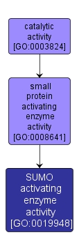 GO:0019948 - SUMO activating enzyme activity (interactive image map)
