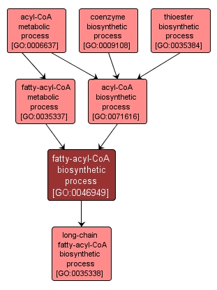 GO:0046949 - fatty-acyl-CoA biosynthetic process (interactive image map)