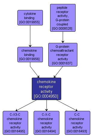GO:0004950 - chemokine receptor activity (interactive image map)