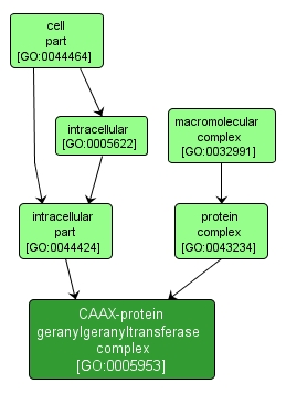 GO:0005953 - CAAX-protein geranylgeranyltransferase complex (interactive image map)