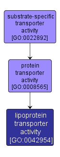 GO:0042954 - lipoprotein transporter activity (interactive image map)