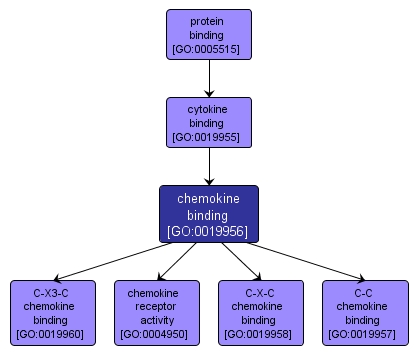GO:0019956 - chemokine binding (interactive image map)