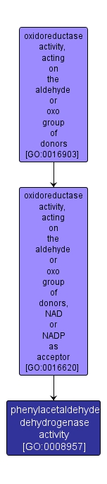 GO:0008957 - phenylacetaldehyde dehydrogenase activity (interactive image map)