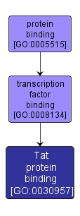 GO:0030957 - Tat protein binding (interactive image map)