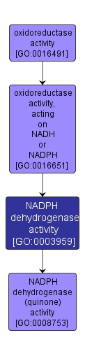 GO:0003959 - NADPH dehydrogenase activity (interactive image map)
