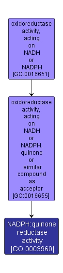GO:0003960 - NADPH:quinone reductase activity (interactive image map)