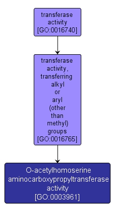 GO:0003961 - O-acetylhomoserine aminocarboxypropyltransferase activity (interactive image map)