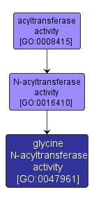 GO:0047961 - glycine N-acyltransferase activity (interactive image map)
