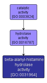 GO:0031964 - beta-alanyl-histamine hydrolase activity (interactive image map)