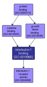GO:0019966 - interleukin-1 binding (interactive image map)